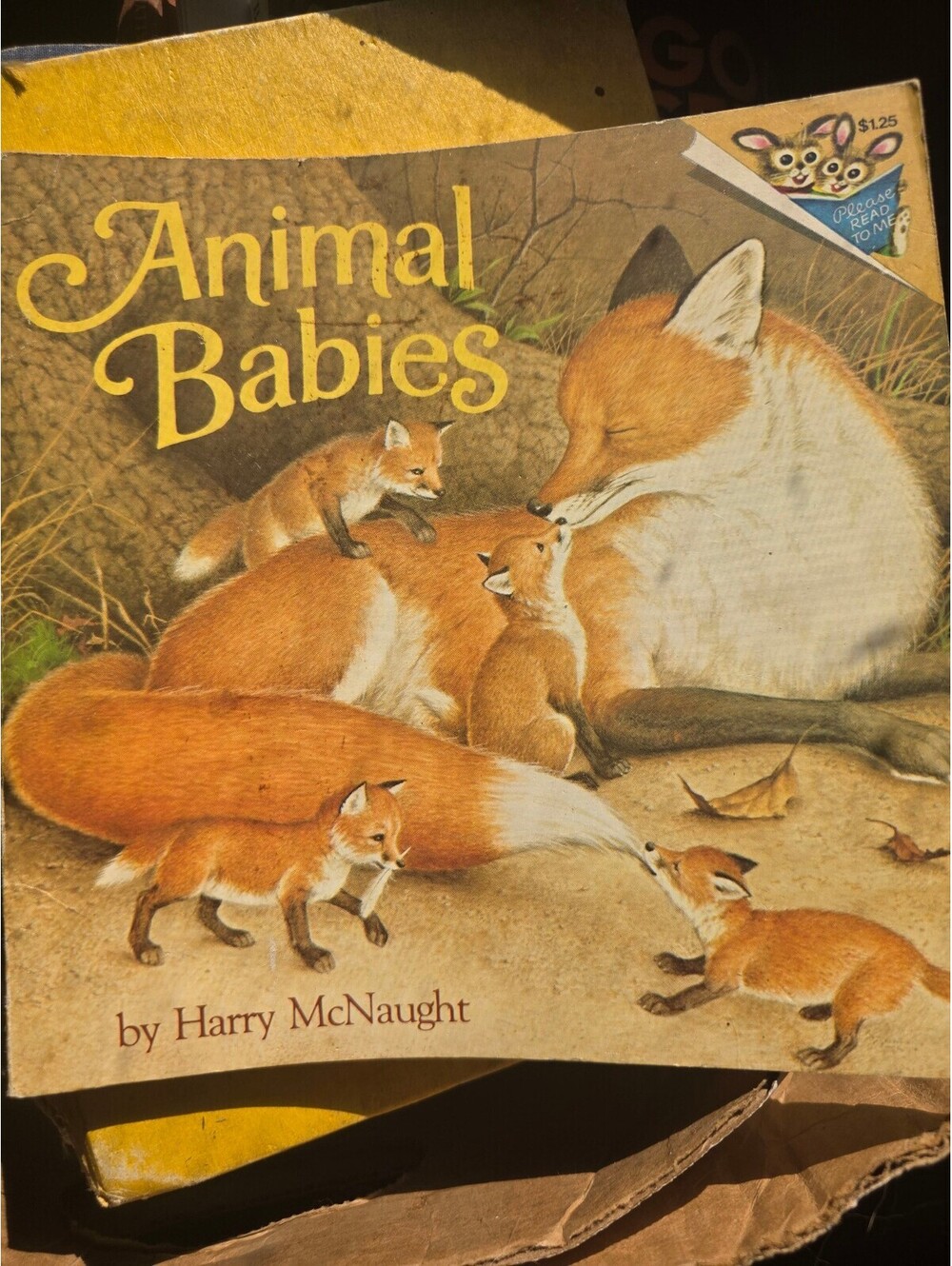Animal Babies by Harry McNaught Children's Book